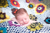 Elodie Lily: Newborn Portraits